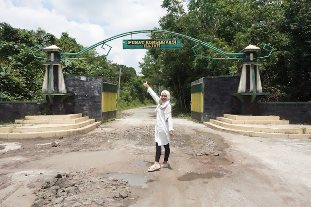 Pusat Konservasi Gajah Way Kambas, Lampung Timur