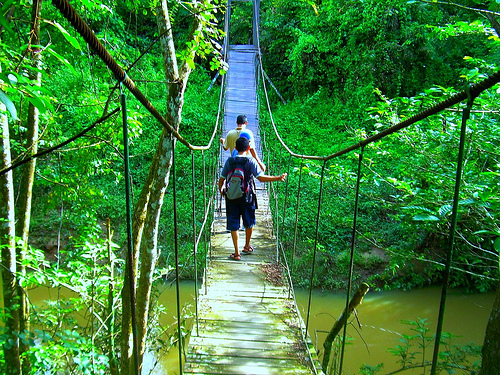 Taman Nasional Kutai