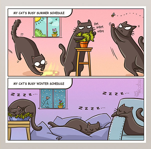 15+ Comics That Purrfectly Capture Life With Cats