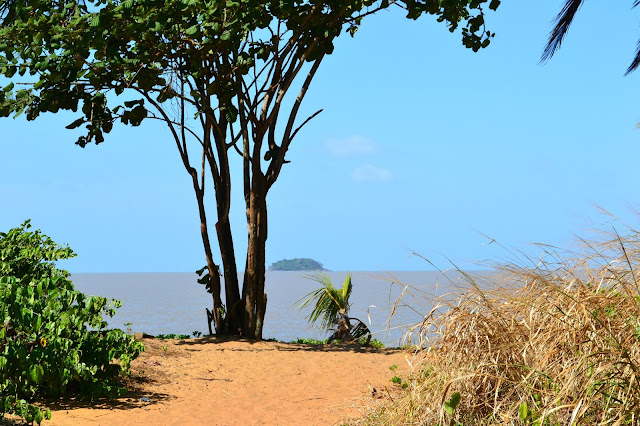 Guyane, Montjoly, Rémire, Cayenne les salines, randonnée, plage, marais, marécage, lagune, balader en Guyane