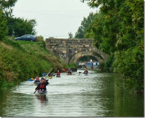 too  many canoes