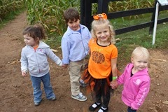 IMG_1181