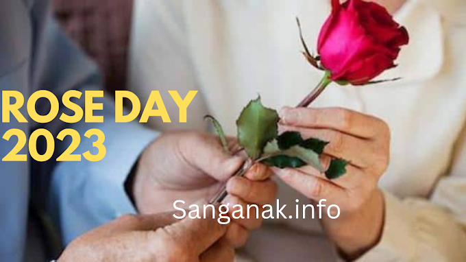 Rose  day 2023 information in Marathi (Rose day 2023 ची माहिती मराठीमध्ये)