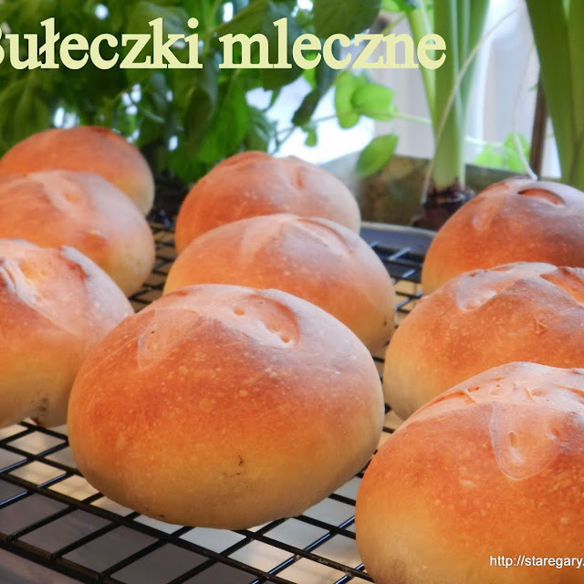 Bułeczki mleczne  -  Petit Pains Au Lait