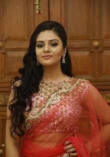 Sreemukhi new saree photos