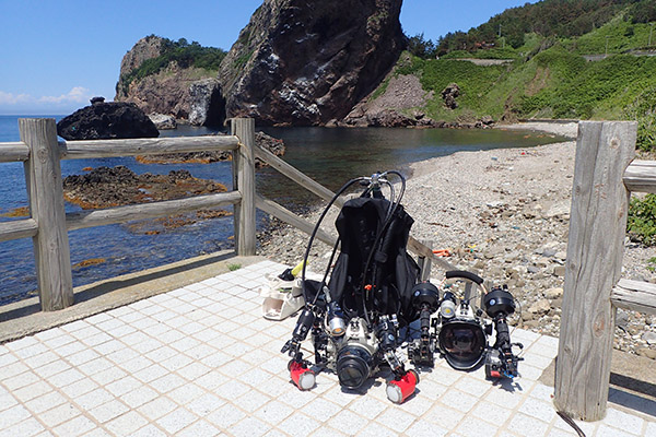 海を歩く 屋久島在住 水中写真家 高久至のブログ 青森県 津軽海峡の海 ｙ氏とやませ １２０日目