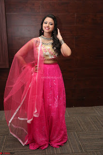 Geethanjali sizzles in Pink at Mixture Potlam Movie Audio Launch 028.JPG