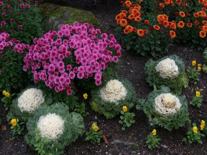 Gardens in full Bloom - Beautiful Photos...