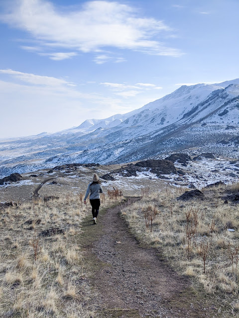 Antelope Island 