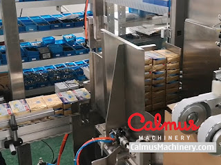 Monoblock Cartoning Machine for Packaging Butter Bricks