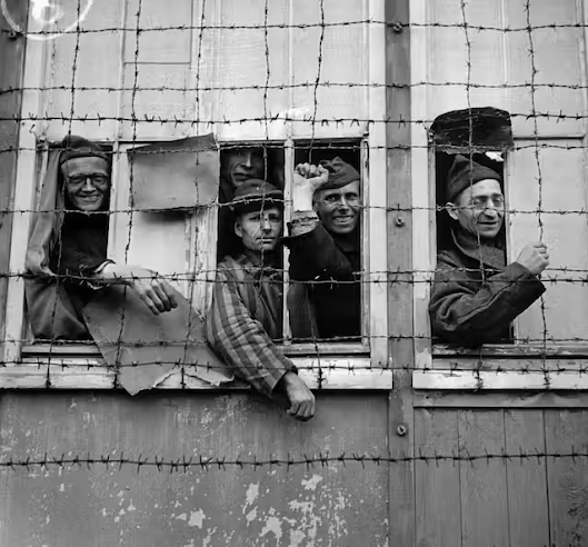 scandal Nazi Canada Australia displaced persons war crimes Waffen SS Galizien Ukraine immigration ratlines history WWII holocaust