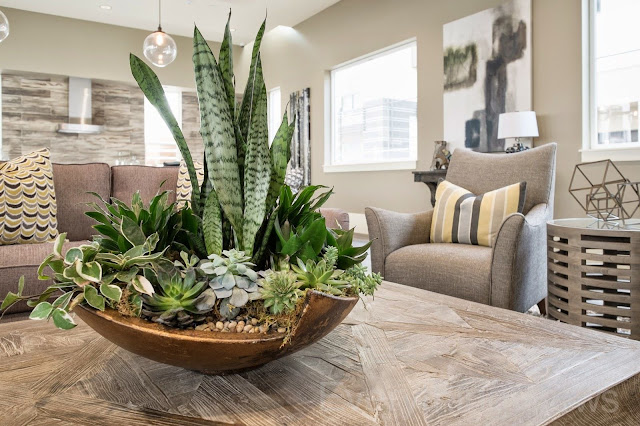 living room decor ideas with plants