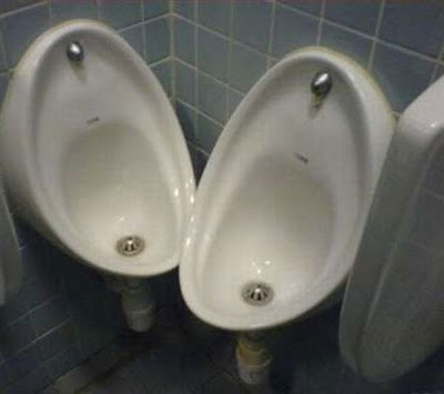 unusual toilets