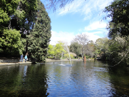 The pond at Queen's Gardens in Nelson, NZ