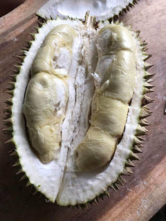 Belah duren termahal ???