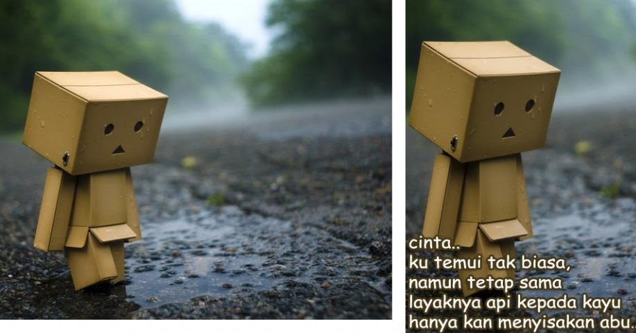 Kumpulan Foto Lucu Danbo Sedih Banget  Info Terbaik Hari 