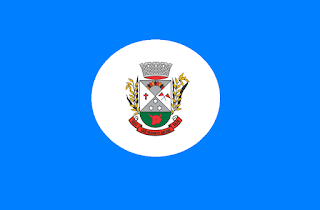 Bandeira de São Vicente do Sul RS