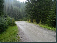 DSCN8761