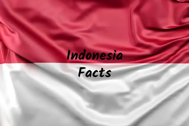 Uncovering the Diversity: 101 Unique Facts about Indonesia