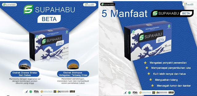 Supahabu Beta Info Kesehatan Terbaik