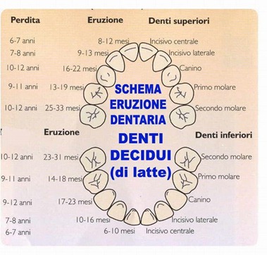 denti_latte