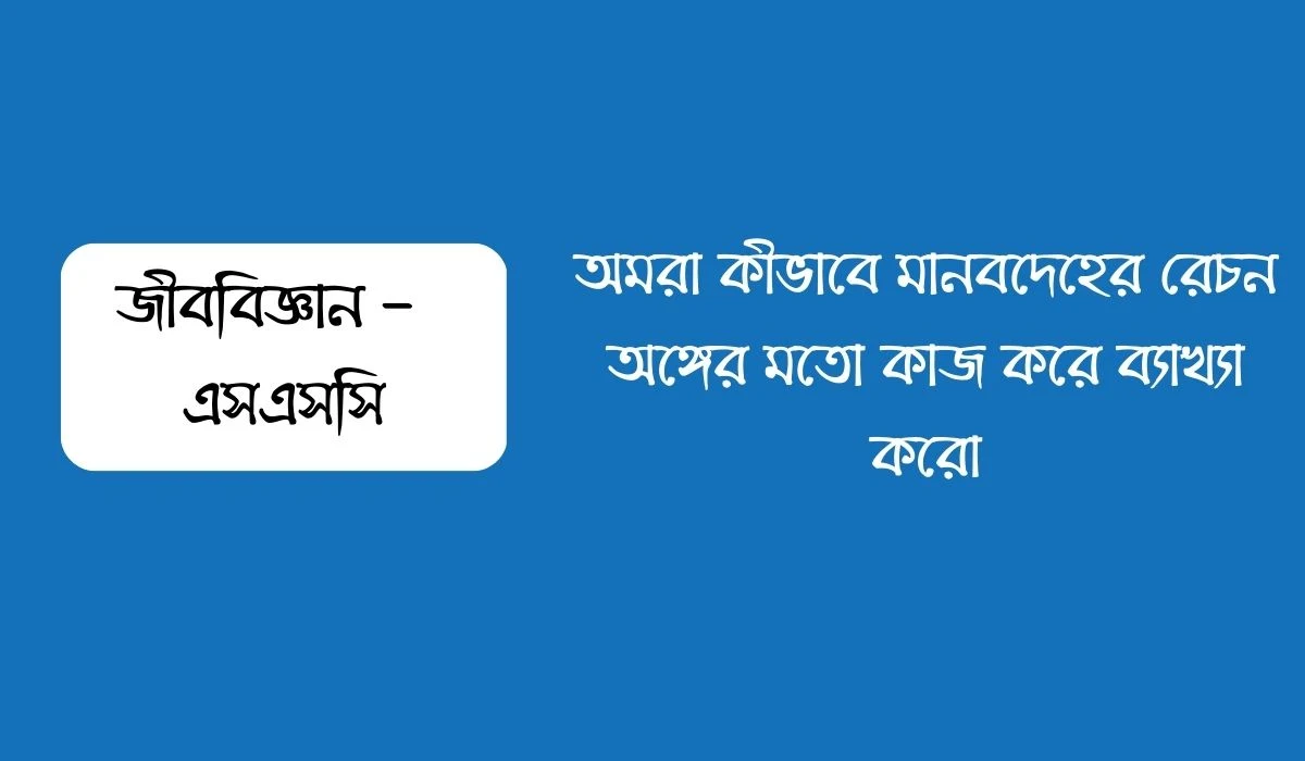 অমরা কীভাবে মানবদেহের রেচন অঙ্গের মতো কাজ করে ব্যাখ্যা করো