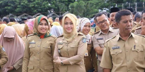 PP 15 Tahun 2020 PDF Tentang Perubahan Peraturan Gaji PNS