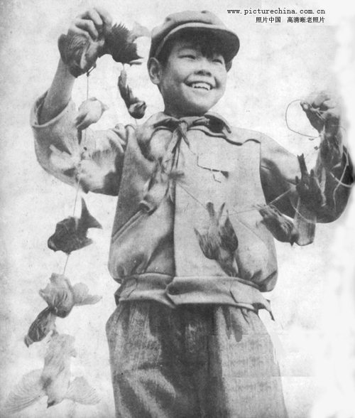 สงครามต่อต้าน นกกระจอก ในประเทศจีน ปี 1958