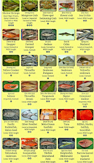 Taiwan Seafood Guide