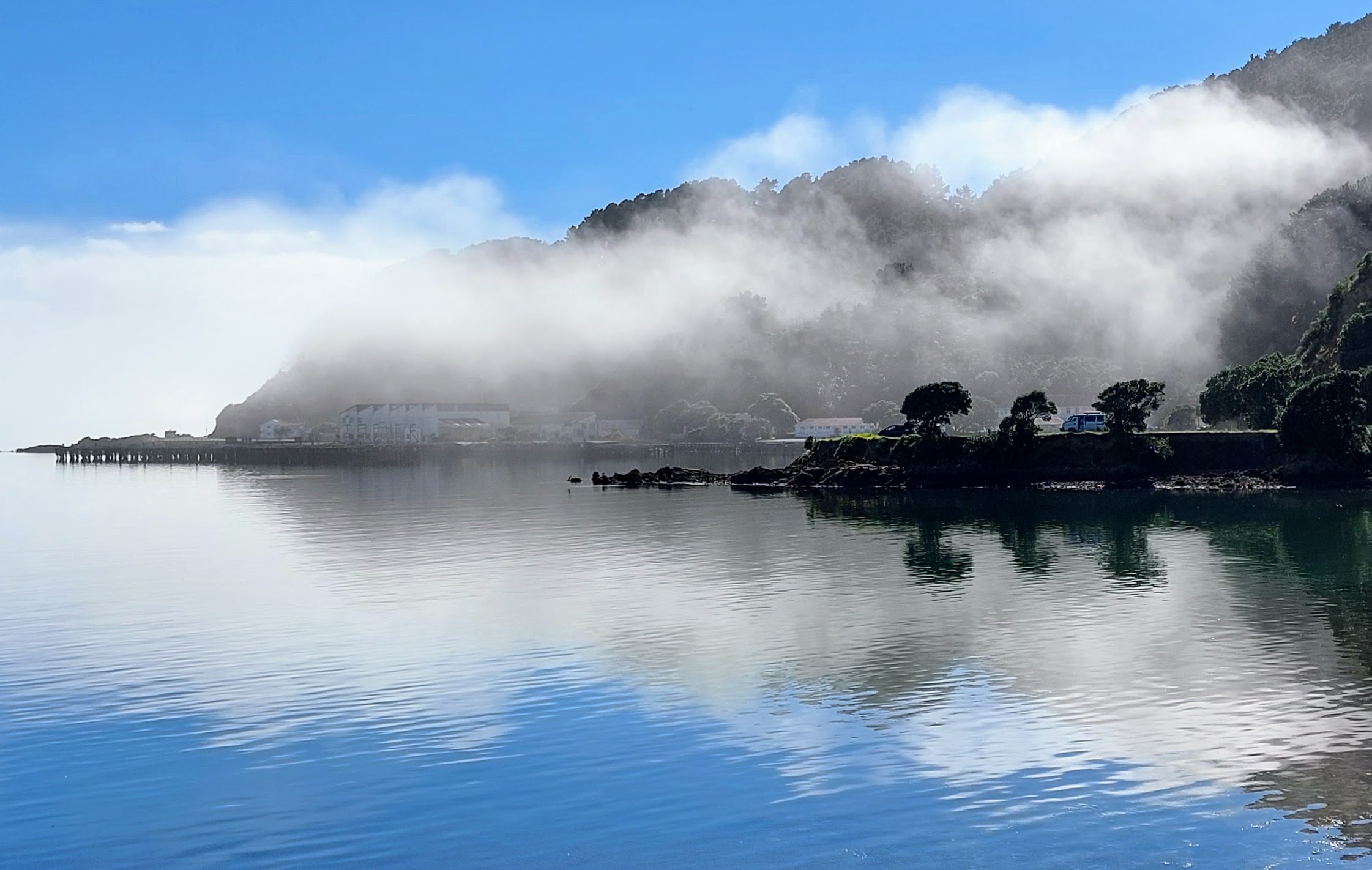 Landscape view of summer morning mist rising from Shelly Bay water and the buildings, up into the trees of the hills behind. Everything is reflected in the mirror like water of the bay.