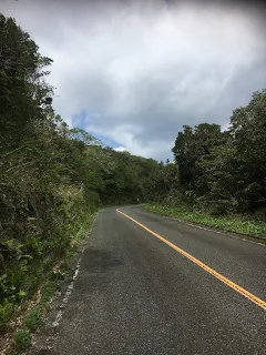 八丈富士への道