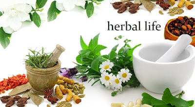 pengertian-herbal-pengobatan-tradisional