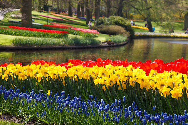 Keukenhof Tulip Garden