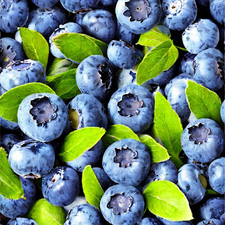 The Mighty Blueberry, Unleashing the Power of Nature's Antioxidant Superfood