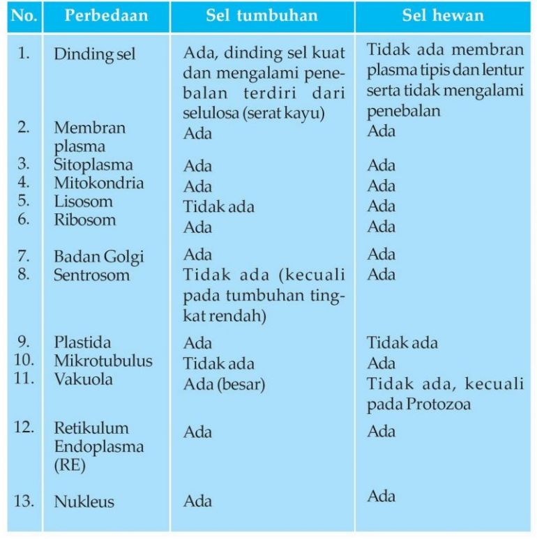 www rangkuman pendidikan blogspot com fungsi sel tumbuhan 