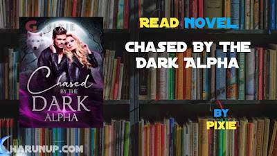 Read Chased By The Dark Alpha Novel Full Episode