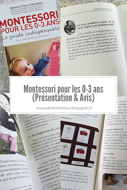 || Montessori pour les 0-3 ans (Présentation & Avis)