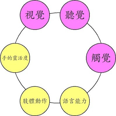 Glenn Doman six rings diagram