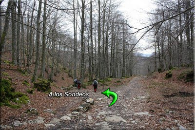 Abandonamos el Camino de Santiago