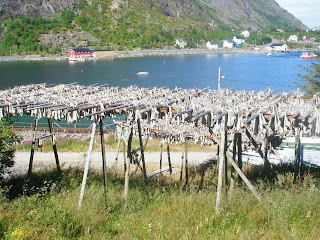 bacalao en Å