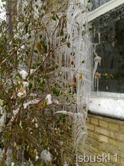 28112010105_resize