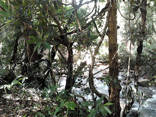 Trekking facility at Vazhvanthol Waterfalls