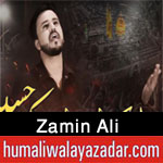 https://www.humaliwalayazadar.com/2017/01/zamin-ali-nohay-2012-to-2018.html