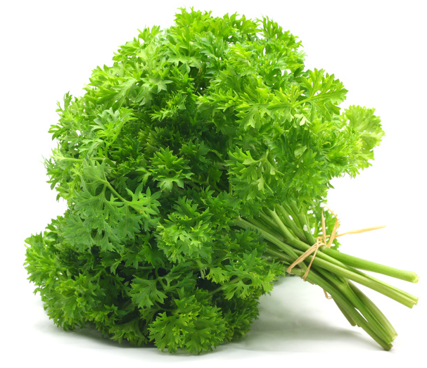 Hridya or Cancer Rog mein Parsley ka Prayog 