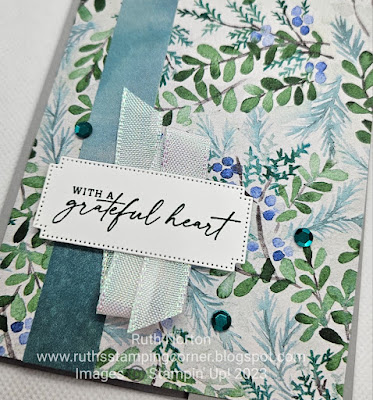 stampin up, winter meadow dsp