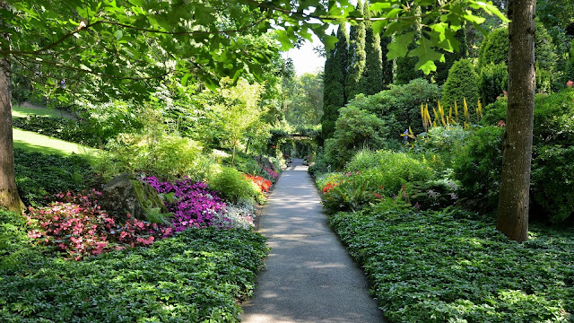 Imagenes de Jardines muy Coloridos