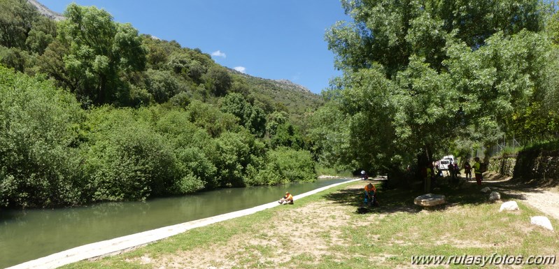 Estación de Cortes - Estación de Benaoján por el sendero del río Guadiaro