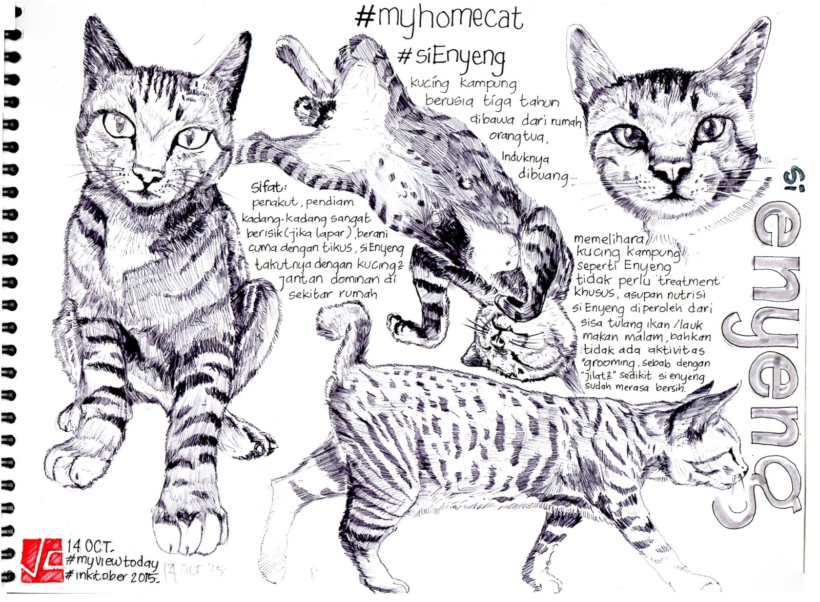 Mewarnai Sketsa Gambar  Kucing  Duduk  Terbaru KataUcap