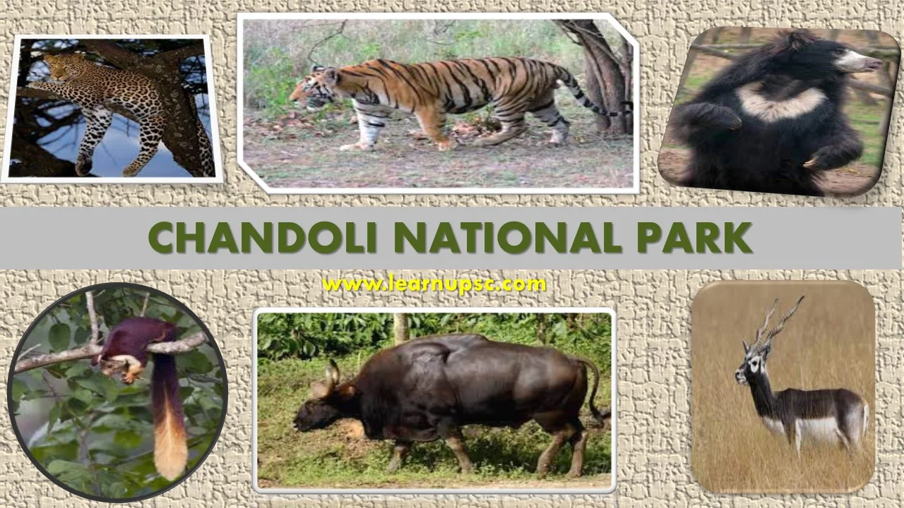 Chandoli National Park