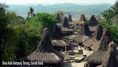 Desa Adat Kampung Tarung, Sumba Barat